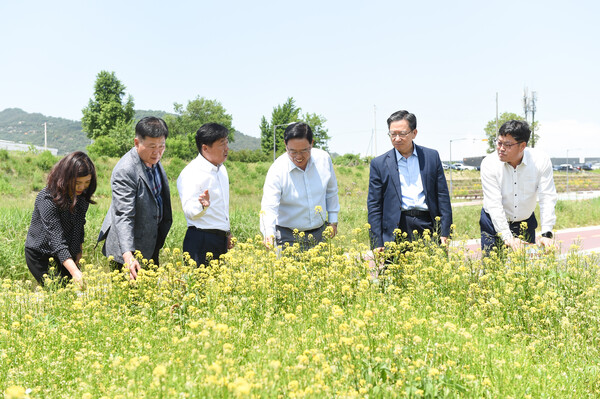 강수현 시장(오른쪽에서 세번째), 정성호 국회의원(오른쪽에서 두번째)이 의정부시계~양주역 구간 약 1만7000㎡에 조성된 ‘양주정원 중랑천’ 유채꽃밭을 찾았다.